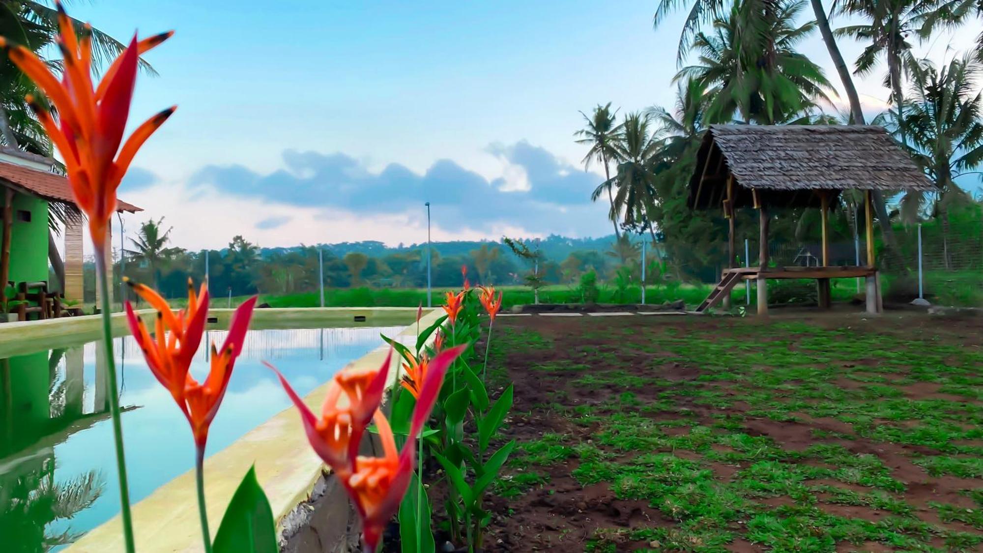 Wooden Kemiren Homestay Banyuwangi Banyuwangi  Exterior photo