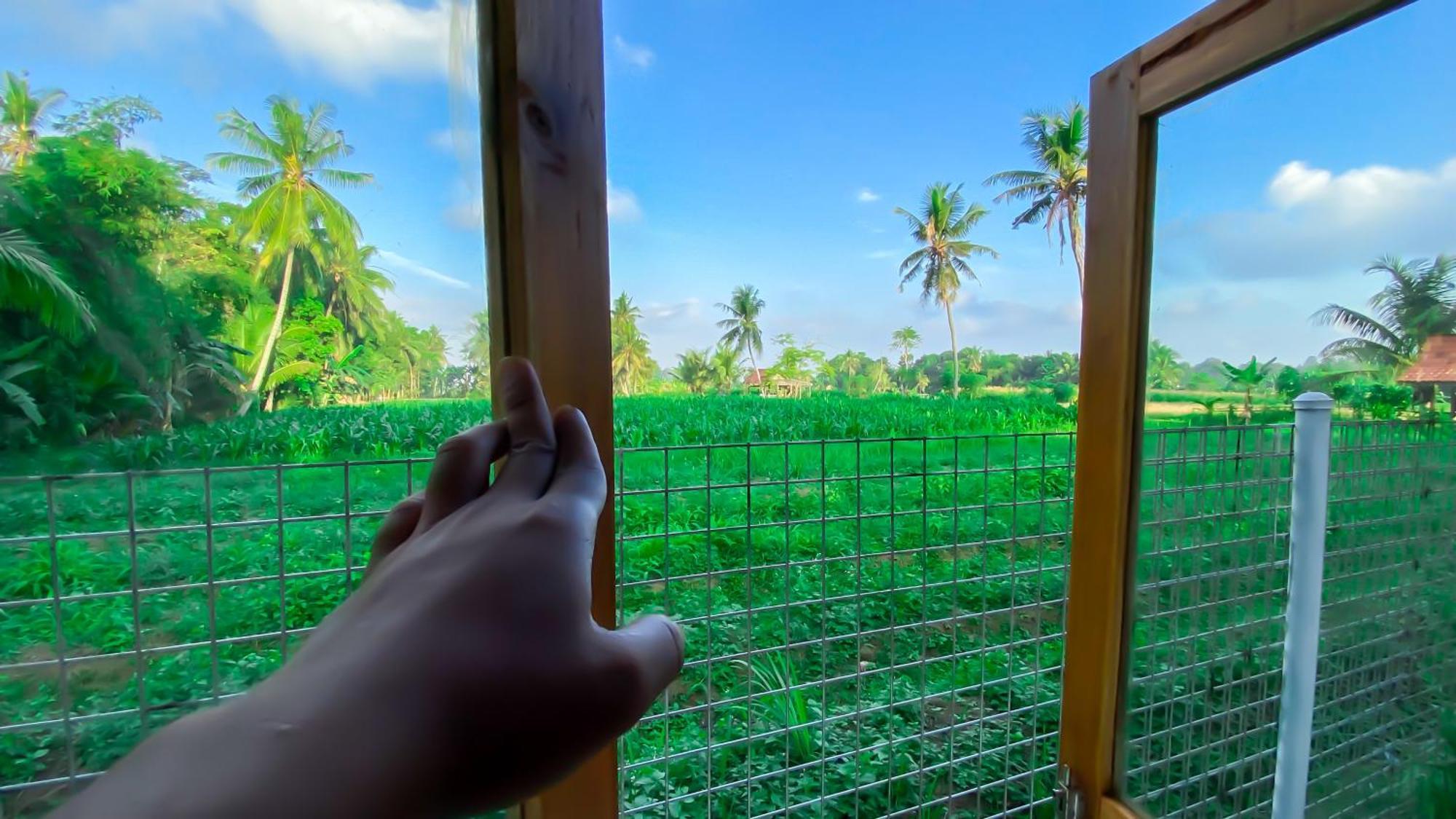Wooden Kemiren Homestay Banyuwangi Banyuwangi  Exterior photo